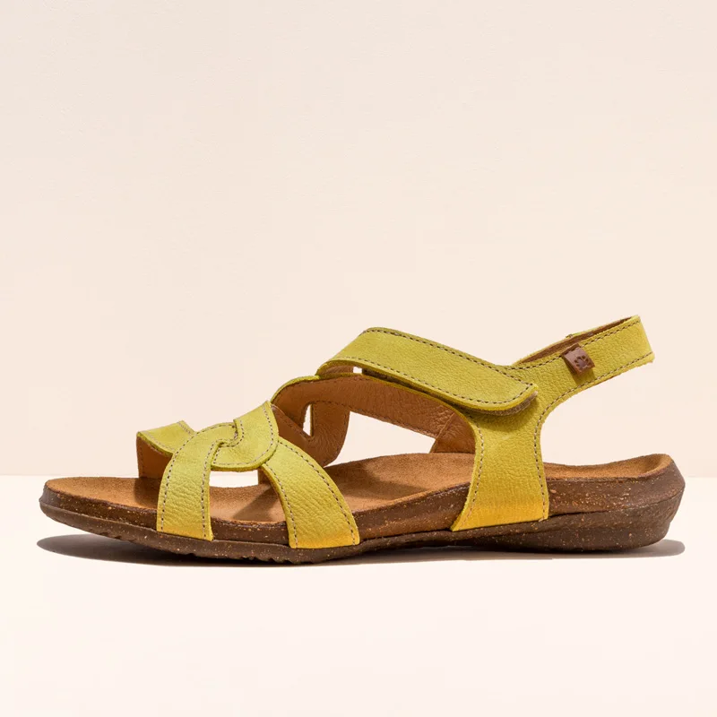 El Naturalista Wakataua N5079